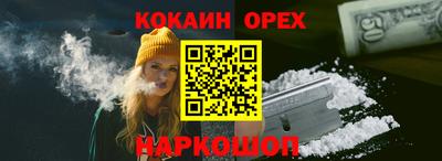 дмт Заводоуковск