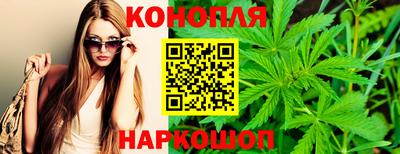 дмт Заводоуковск