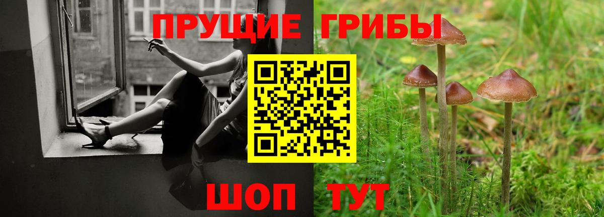 Североморск  Псилоцибиновые грибы мицелий  Галлюциногенные грибы Cubensis  Вход с VPN 